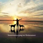 De Eller Mit Schwimmbad Und Sauna Appartement Dorumer Neufeld