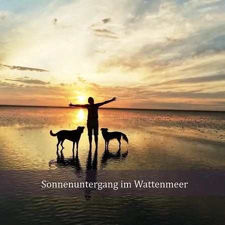 De Eller Mit Schwimmbad Und Sauna Διαμέρισμα Dorumer Neufeld